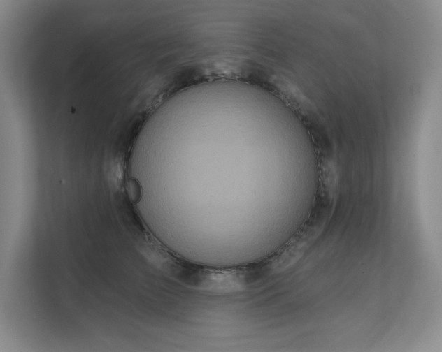X0000111640709200907171547