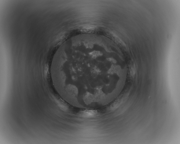 X0000111640711200907171547