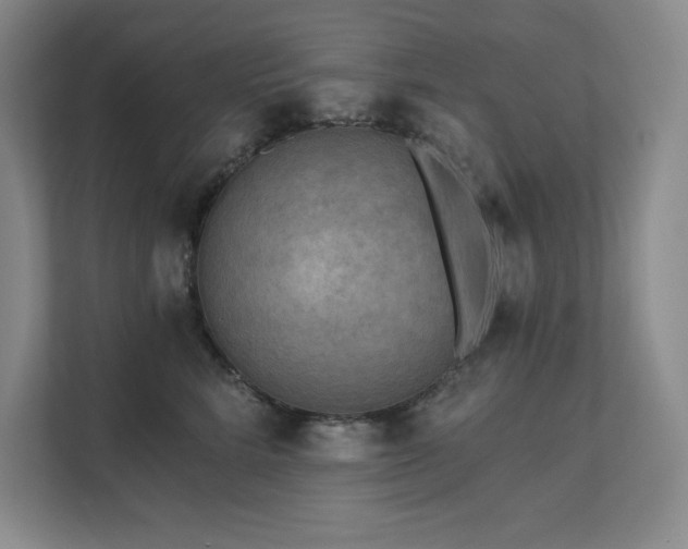 X0000111640712200907171547
