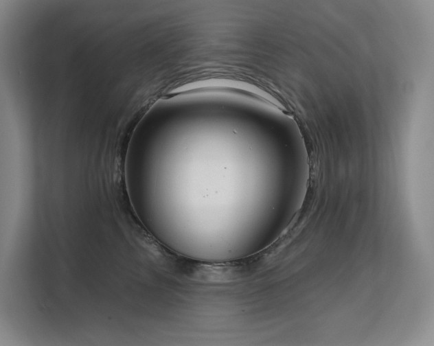 X0000111640713200907171547
