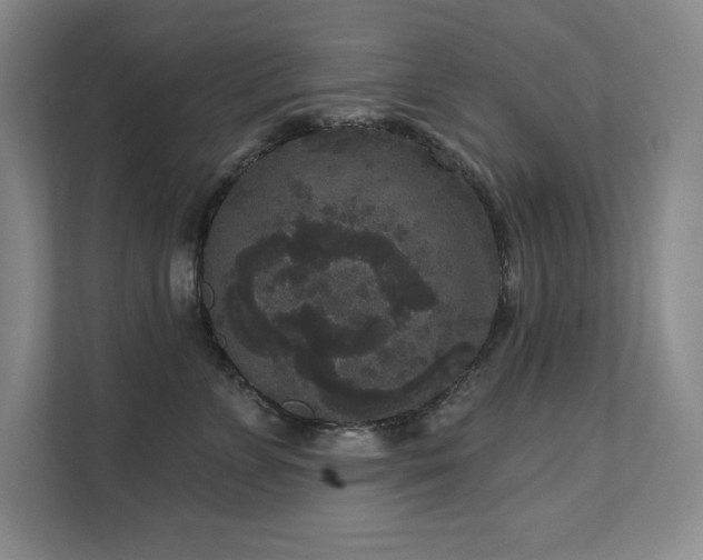 X0000111640715200907171547