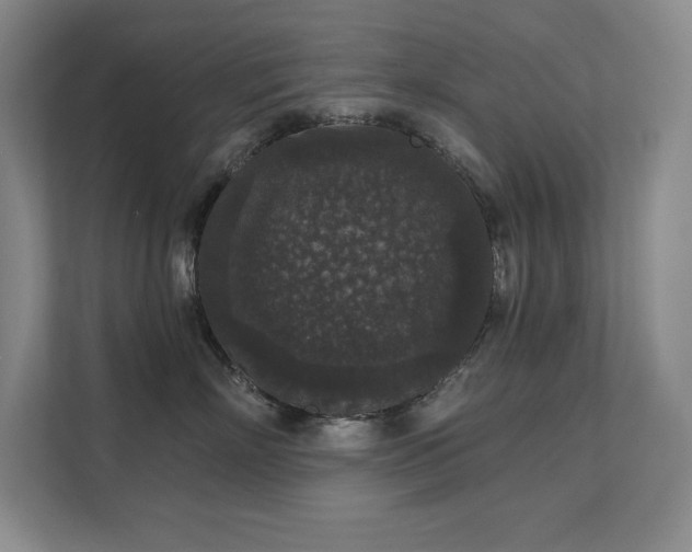 X0000111640718200907171547