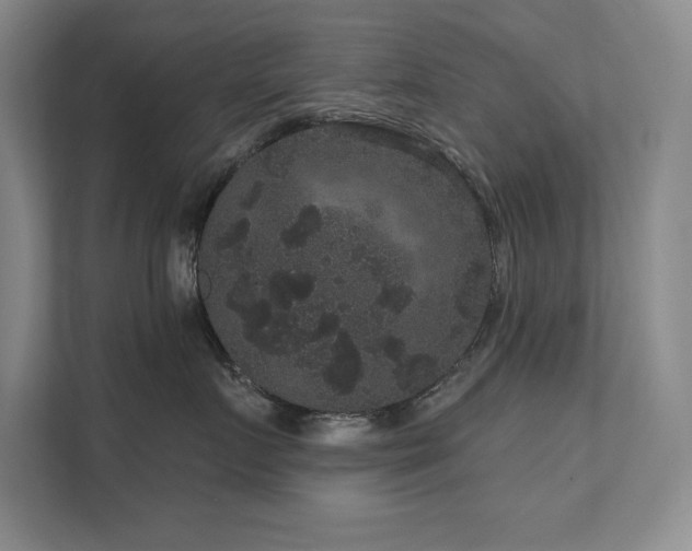 X0000111640719200907171547