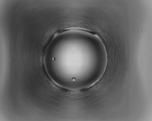 X0000111640720200907171547