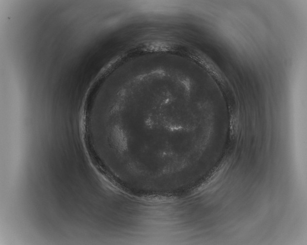 X0000111640722200907171546