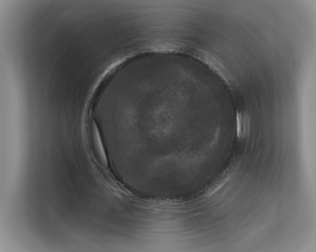 X0000111640723200907171546