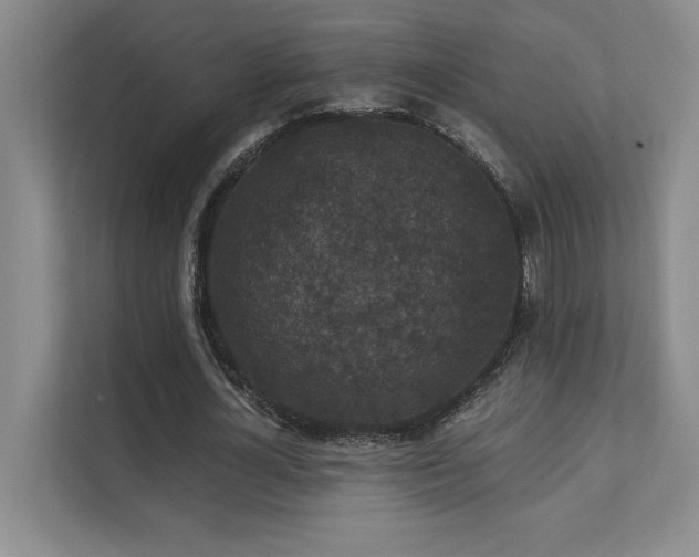 X0000111640724200907171546