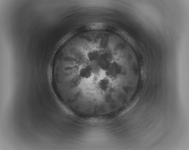 X0000111640725200907171546