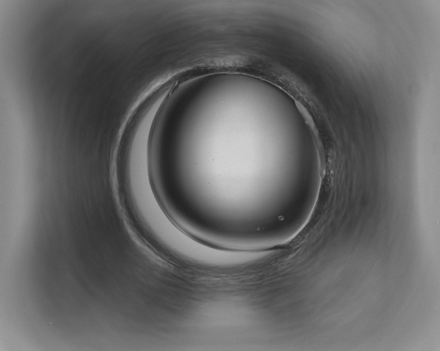 X0000111640726200907171546