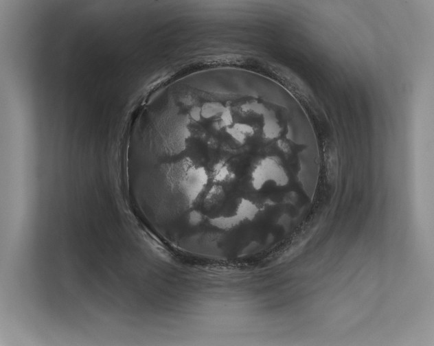 X0000111640729200907171546