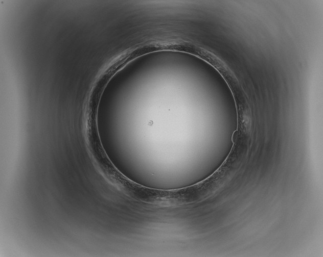 X0000111640732200907171546