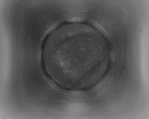 X0000111640735200907171546