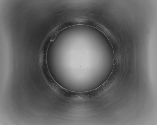 X0000111640736200907171546