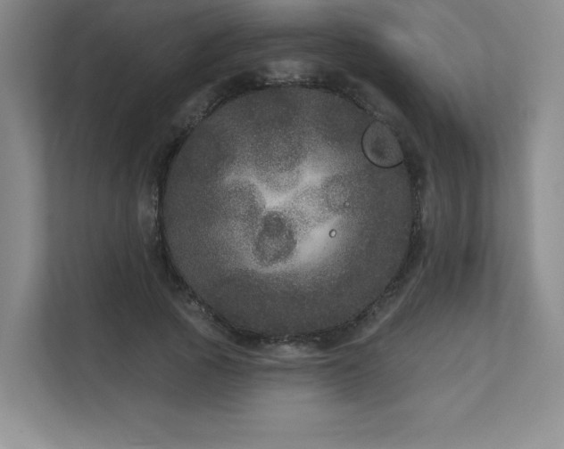 X0000111640737200907171546