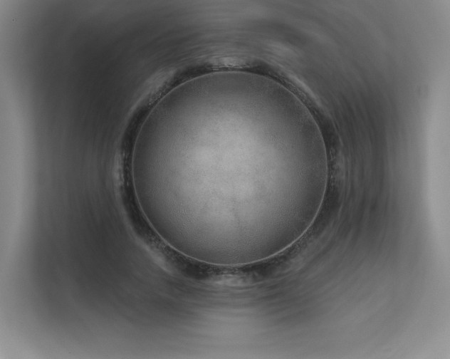 X0000111640738200907171546