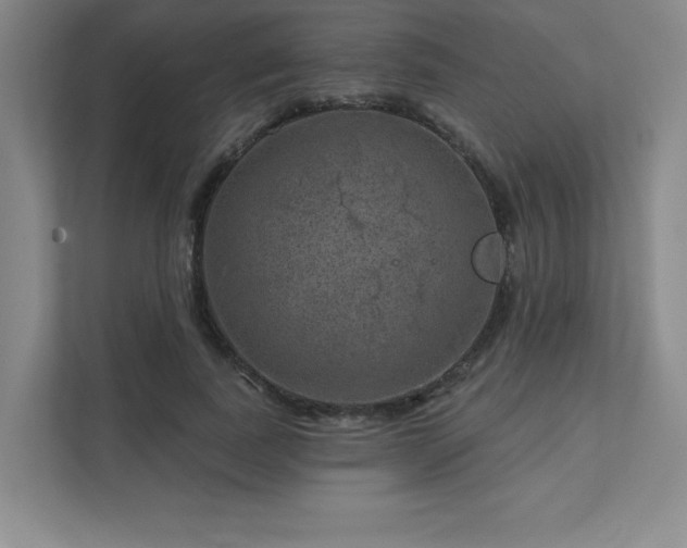 X0000111640739200907171546