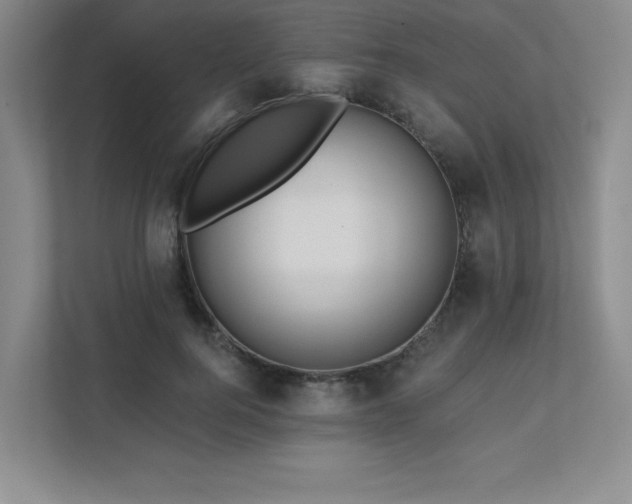 X0000111640744200907171546