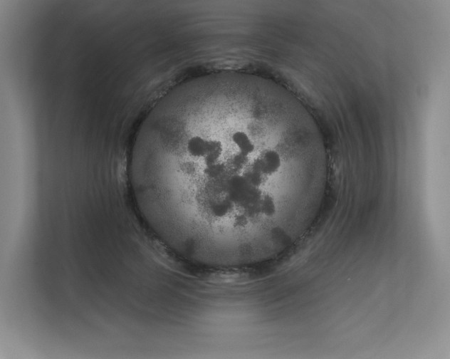 X0000111640745200907171546