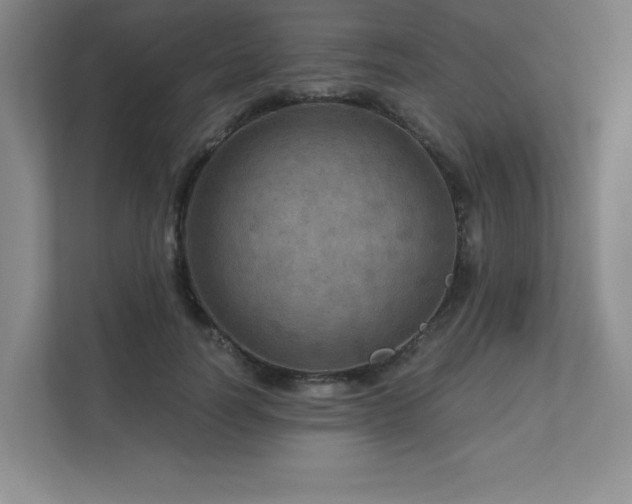 X0000111640746200907171546