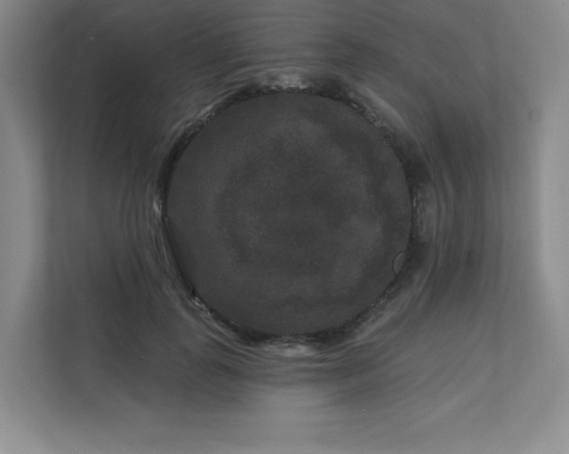X0000111640747200907171546