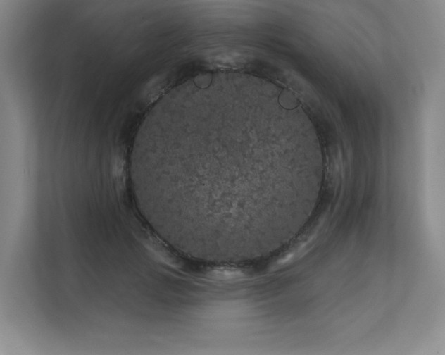 X0000111640749200907171546