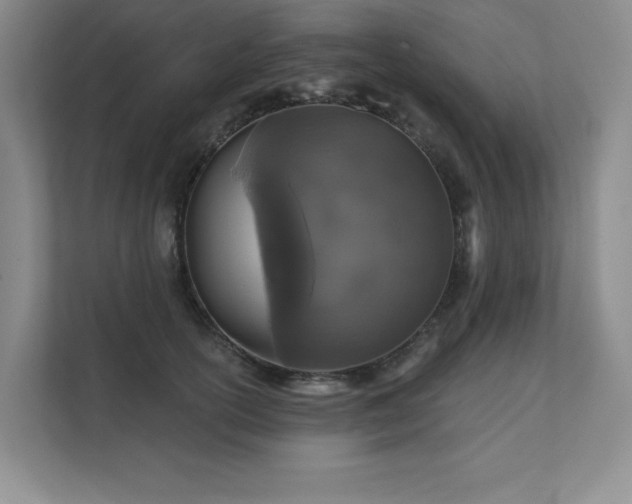 X0000111640754200907171546