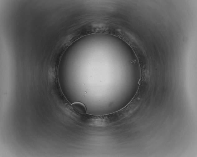 X0000111640756200907171546