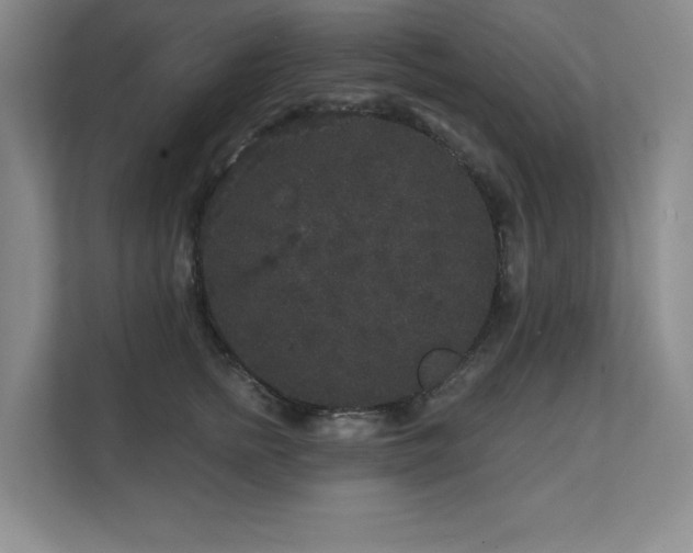 X0000111640758200907171546