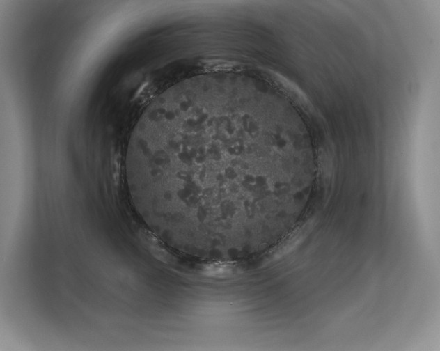 X0000111640761200907171547