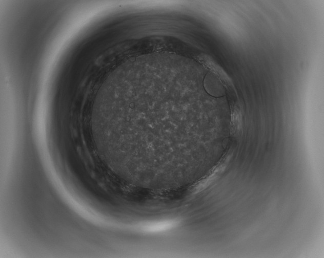 X0000111640765200907171547