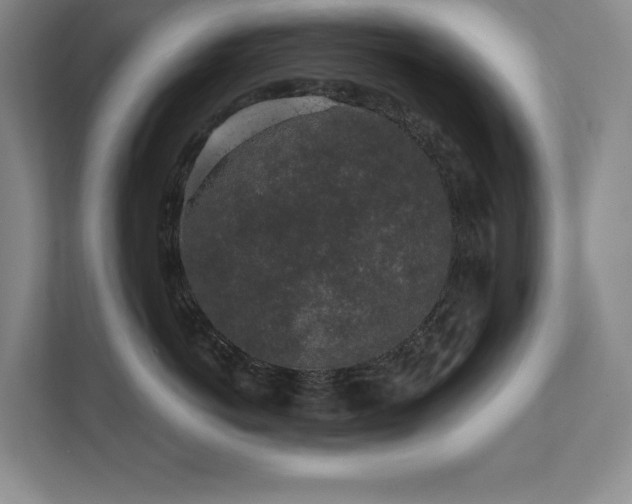 X0000111640766200907171547