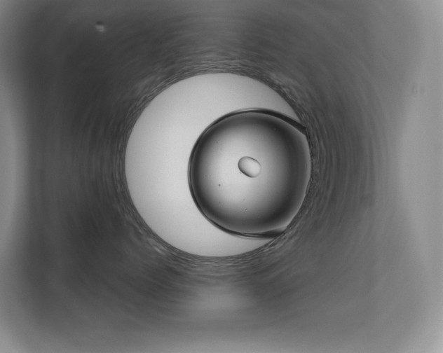 X0000111640768200907171547