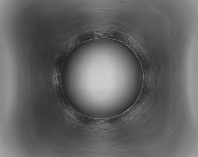 X0000111640770200907171546