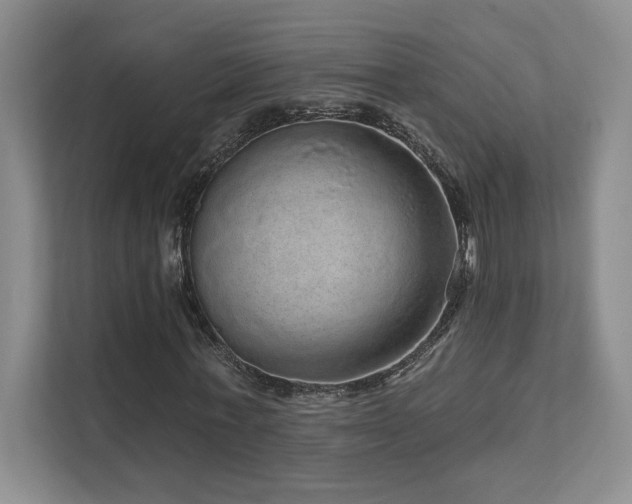 X0000111640771200907171546