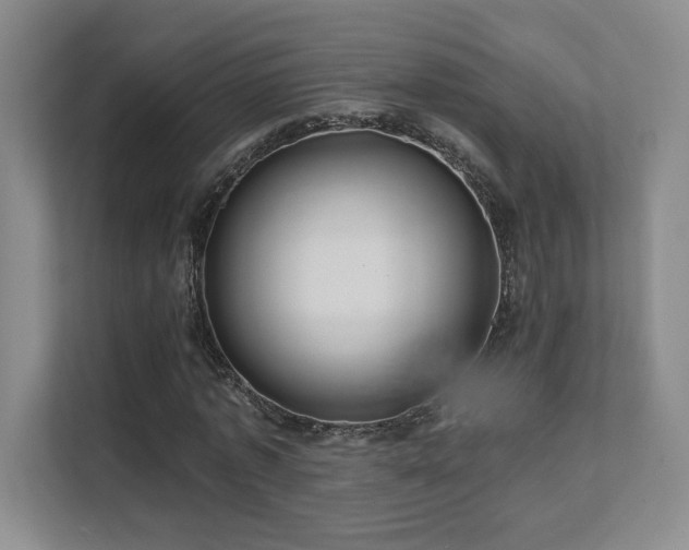 X0000111640773200907171546