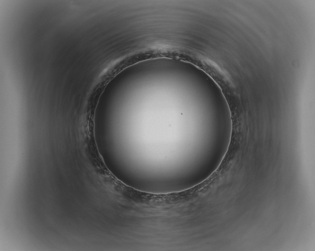 X0000111640776200907171546