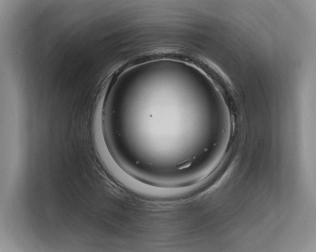 X0000111640777200907171546