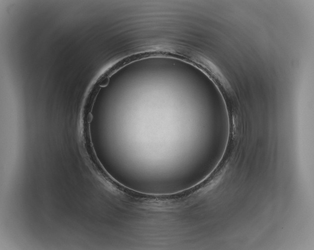 X0000111640780200907171546