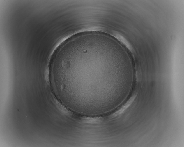 X0000111640781200907171546