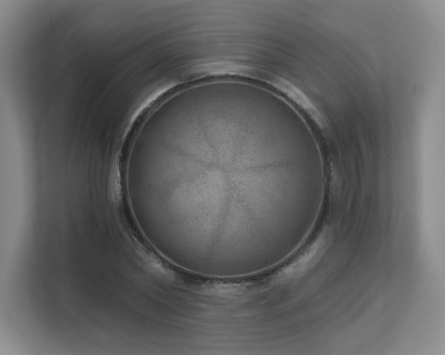 X0000111640782200907171546