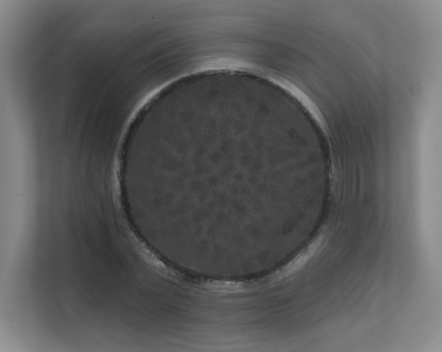 X0000111640783200907171546