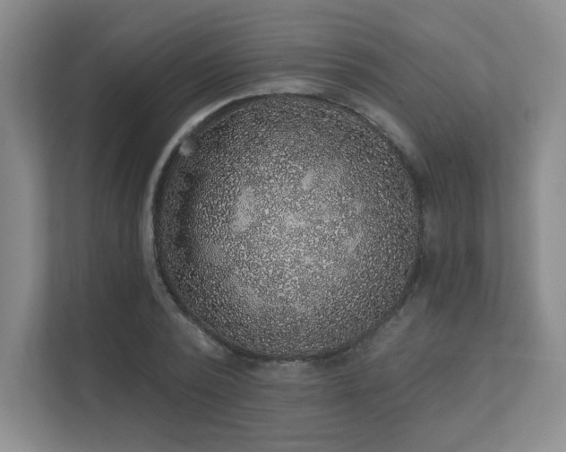 X0000111640784200907171546