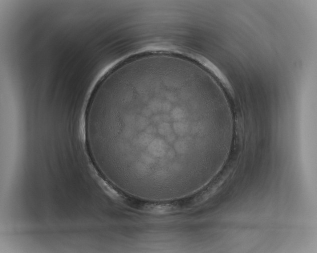 X0000111640791200907171546