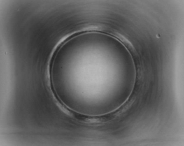X0000111640792200907171546