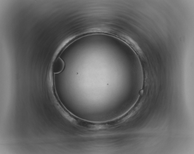 X0000111640796200907171546