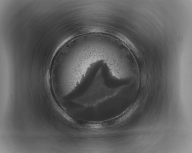 X0000111640798200907171546