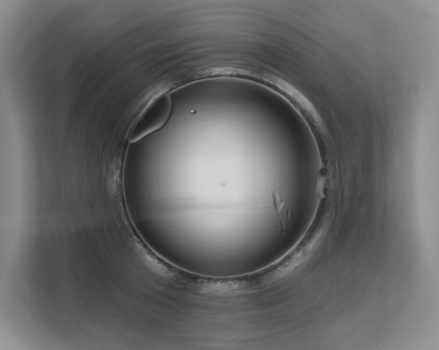 X0000111640801200907171546