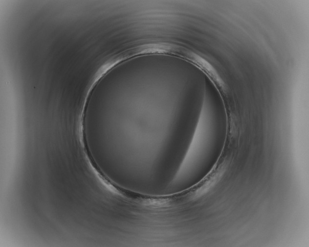 X0000111640802200907171546