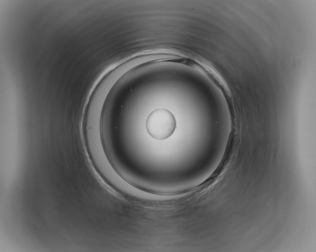 X0000111640805200907171546