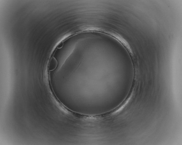 X0000111640806200907171545